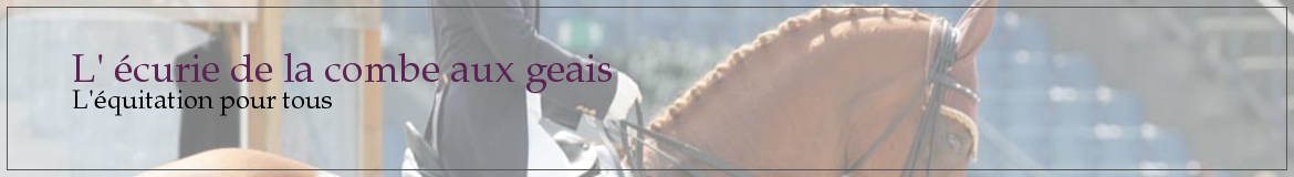 L' écurie de la combe aux geais